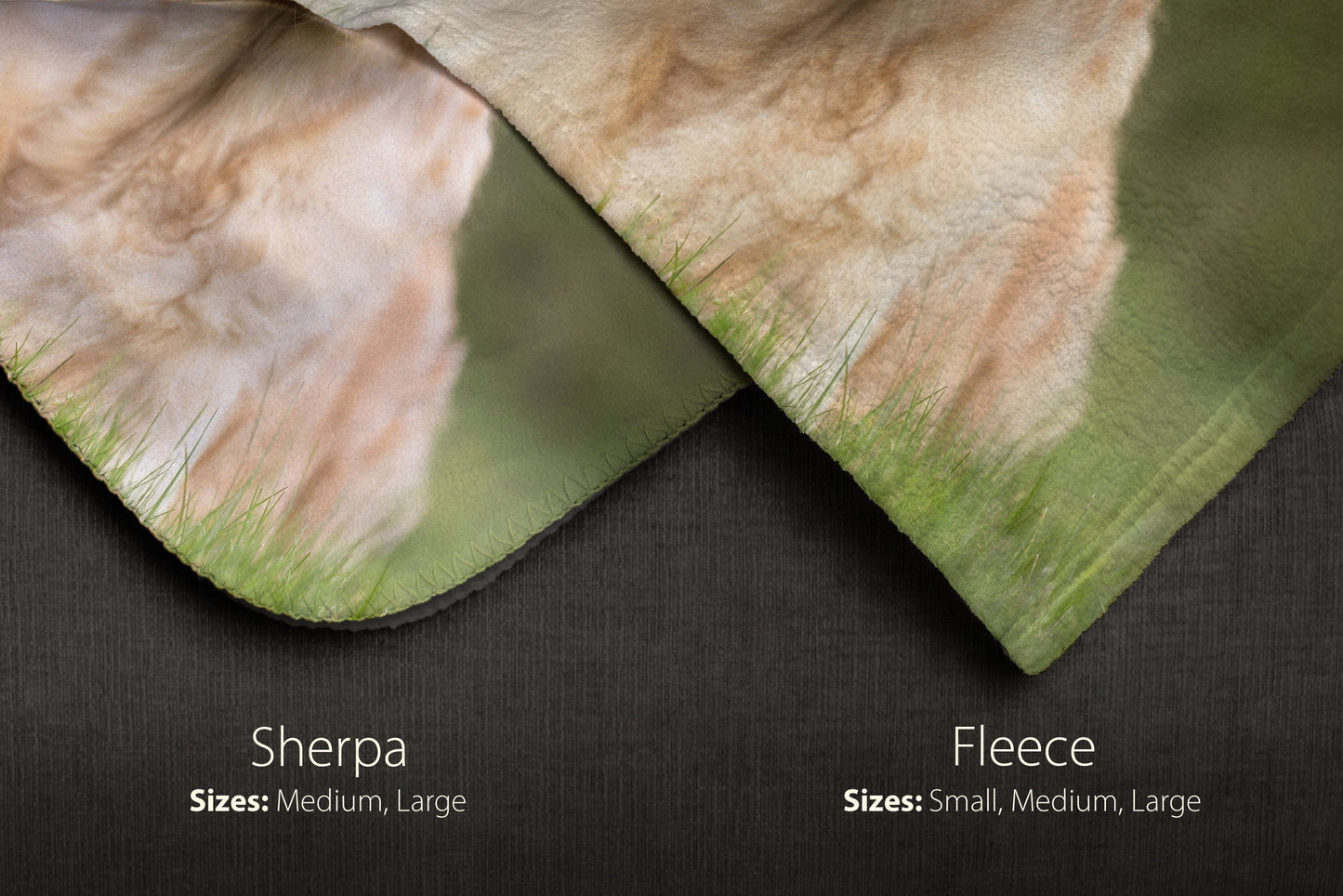 Custom Pet Photo Blanket (My Favorite Hello...)