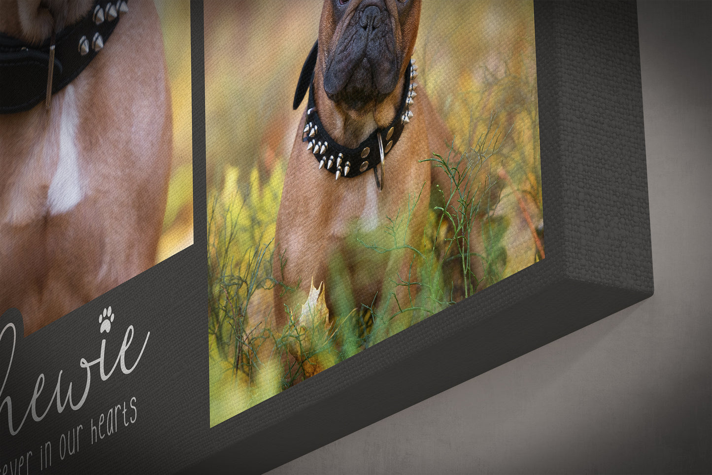 Custom Pet Photo Canvas-Wrapped Print (3 Photos)