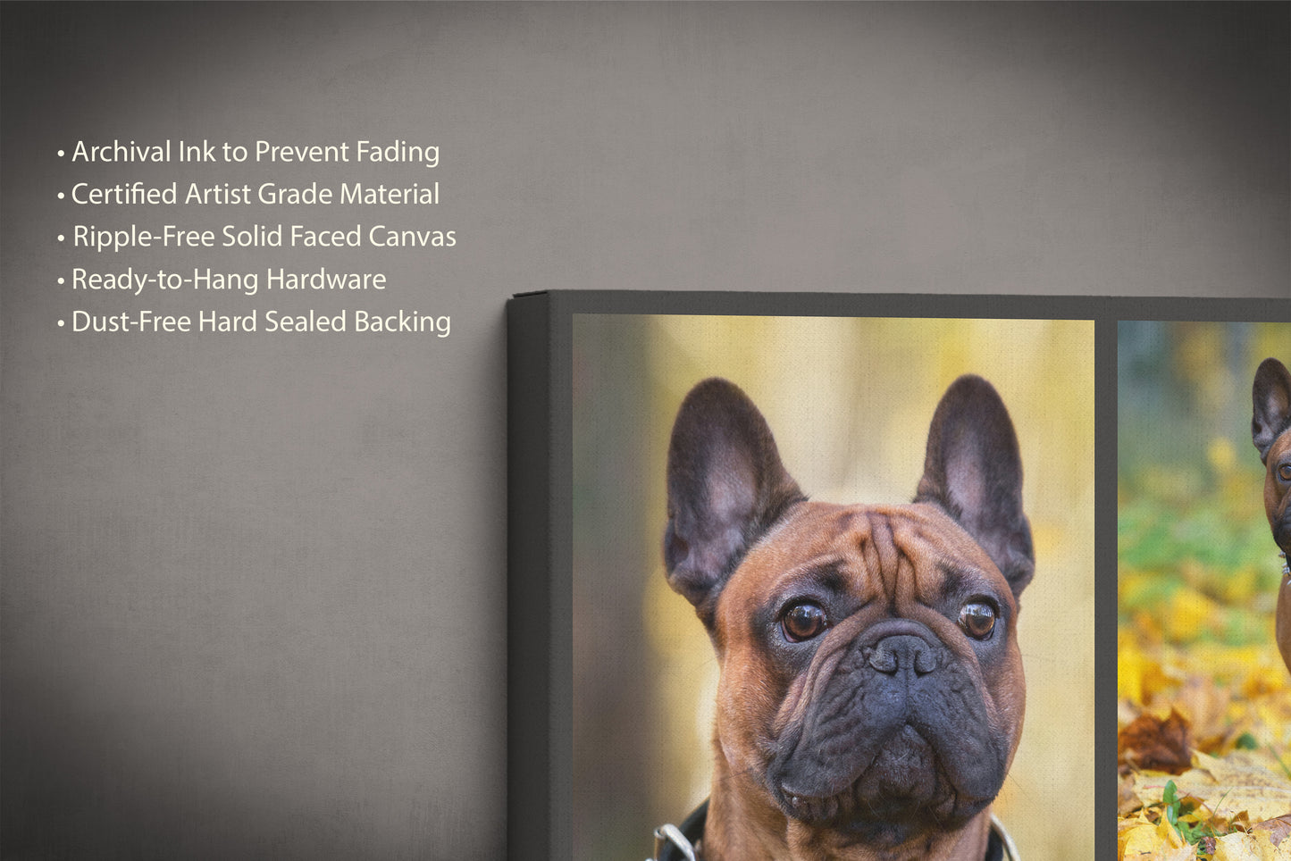 Custom Pet Photo Canvas-Wrapped Print (3 Photos)