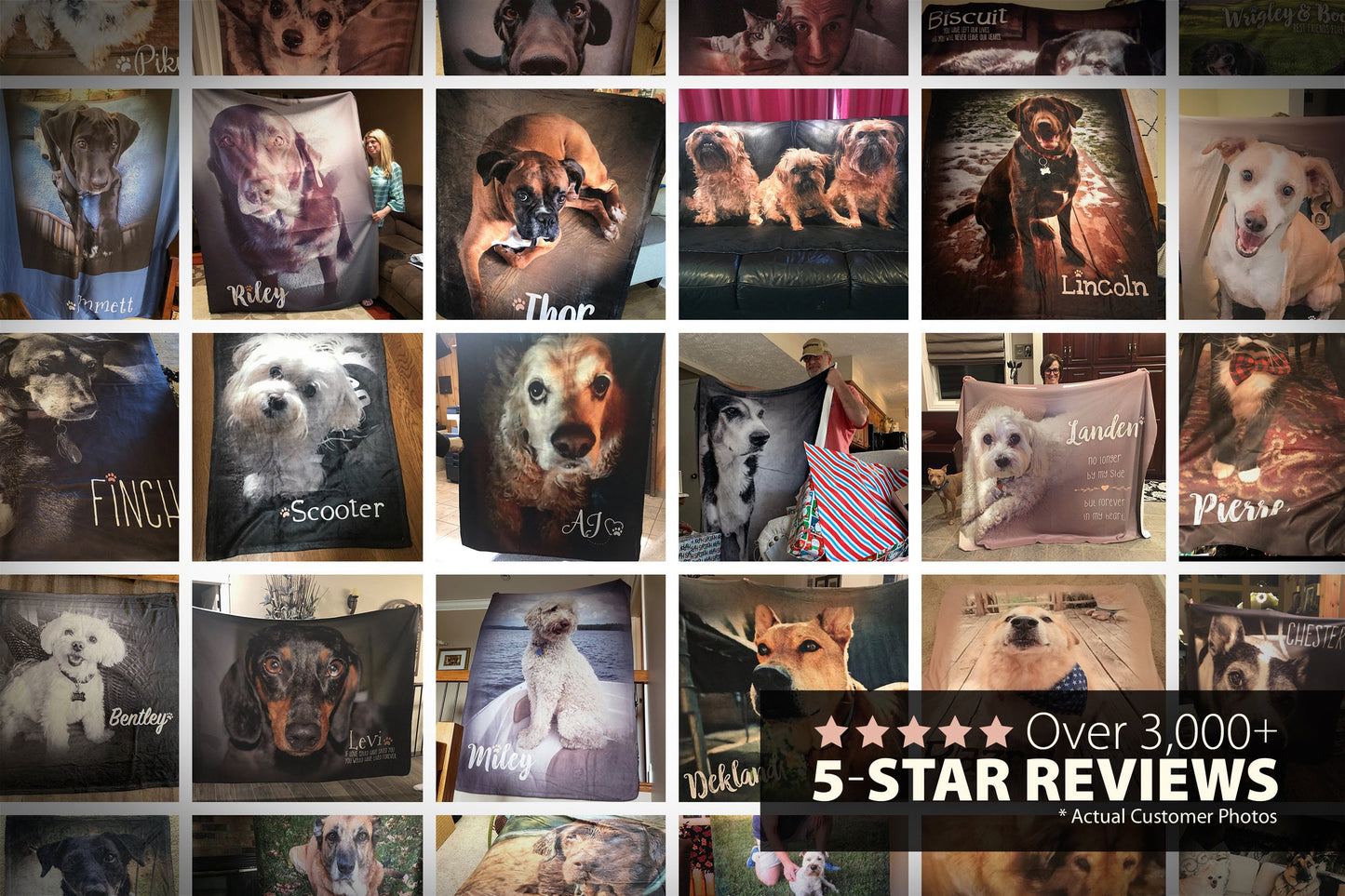 Custom Pet Photo Blanket (My Favorite Hello...)